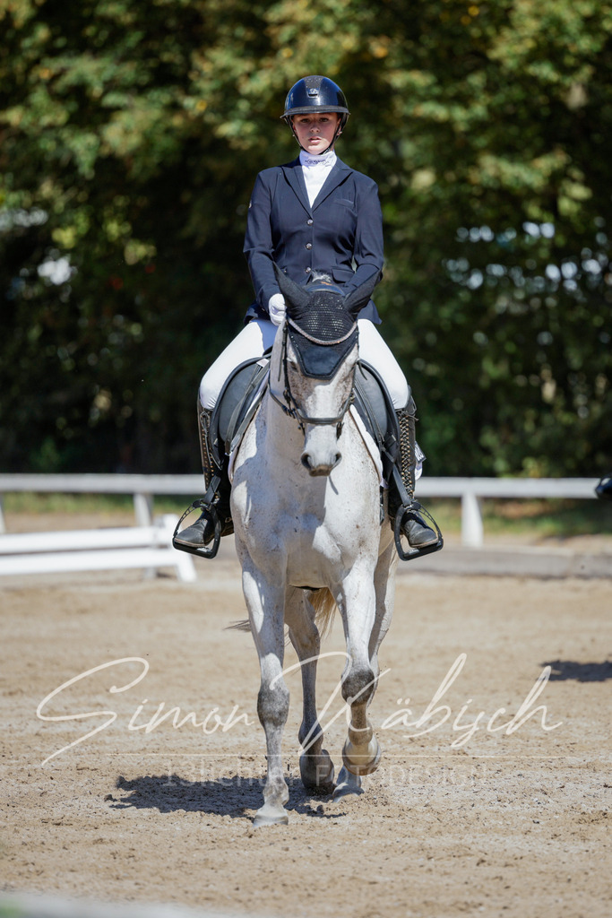 20250906-_3LI4299 | Tierfotografie Pferde, Hunde, Katzen, Haustiere.
Turnierfotografie Reitturniere, Reiten, Springreiten, Dressur in Hanau, dem Main-Kinzig-Kreis und dem Rhein-Main- Gebiet um Frankfurt