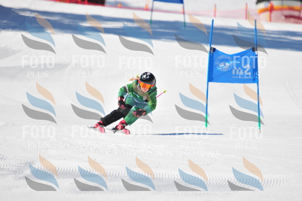 C3004 | holidayphoto