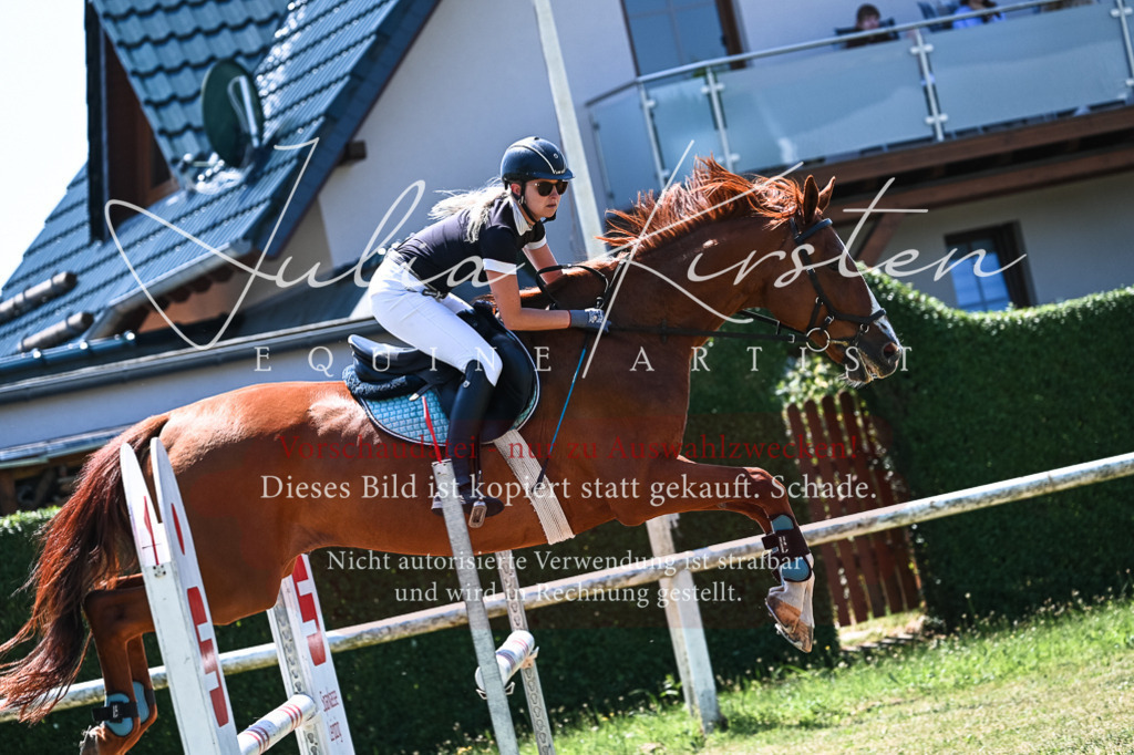 DSC_0492 | Pferde- und Turnierfotografie in Westsachsen. Pferdeportraits, Auftragszeichnungen und intuitive Kunst.