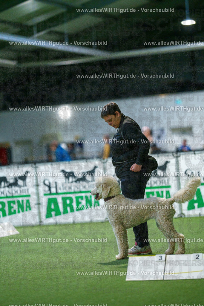 7R509881 | Professionelle Tierfotografie in Mönchengladbach von Daniel Wirth (allesWIRTHgut). Liebevolle & natürliche Bilder von Hunden & Katzen für unvergessliche Erinnerungen.