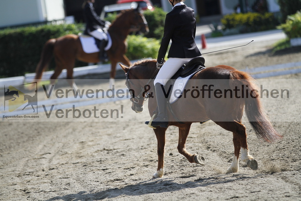 _MG_0680 | equestrian-live-com