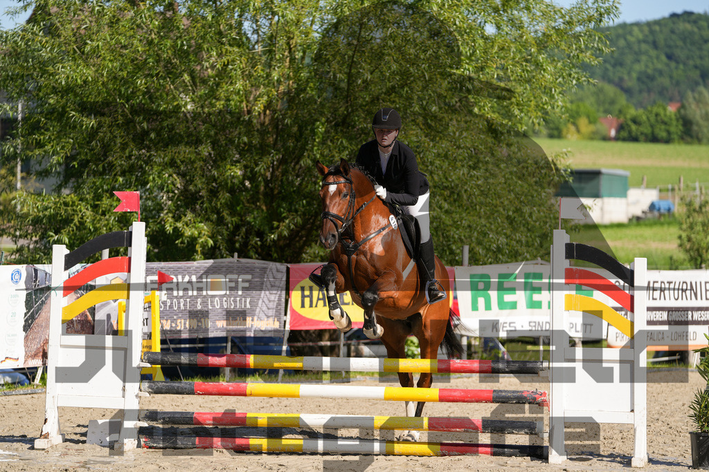 DSC02031 | Julian Held Fotografie - Realisiert mit Pictrs.com