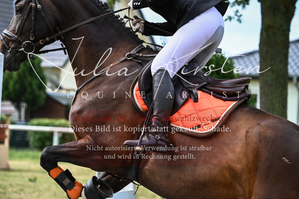DSC_8297 | Pferde- und Turnierfotografie in Westsachsen. Pferdeportraits, Auftragszeichnungen und intuitive Kunst.