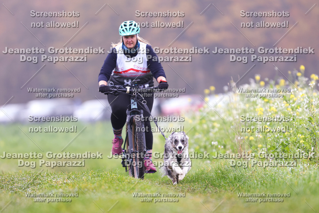 Dog Paparazzi - Visbeck 25 -222 | Dog Paparazzi Jeanette Grottendiek Fotografie & Videografie - Realisiert mit Pictrs.com