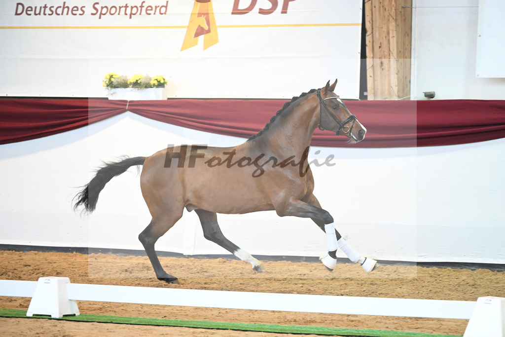 Kat-Nr. 23 v. Don Schufro_Raumanns_66220568 | hf-fotografie - Realisiert mit Pictrs.com