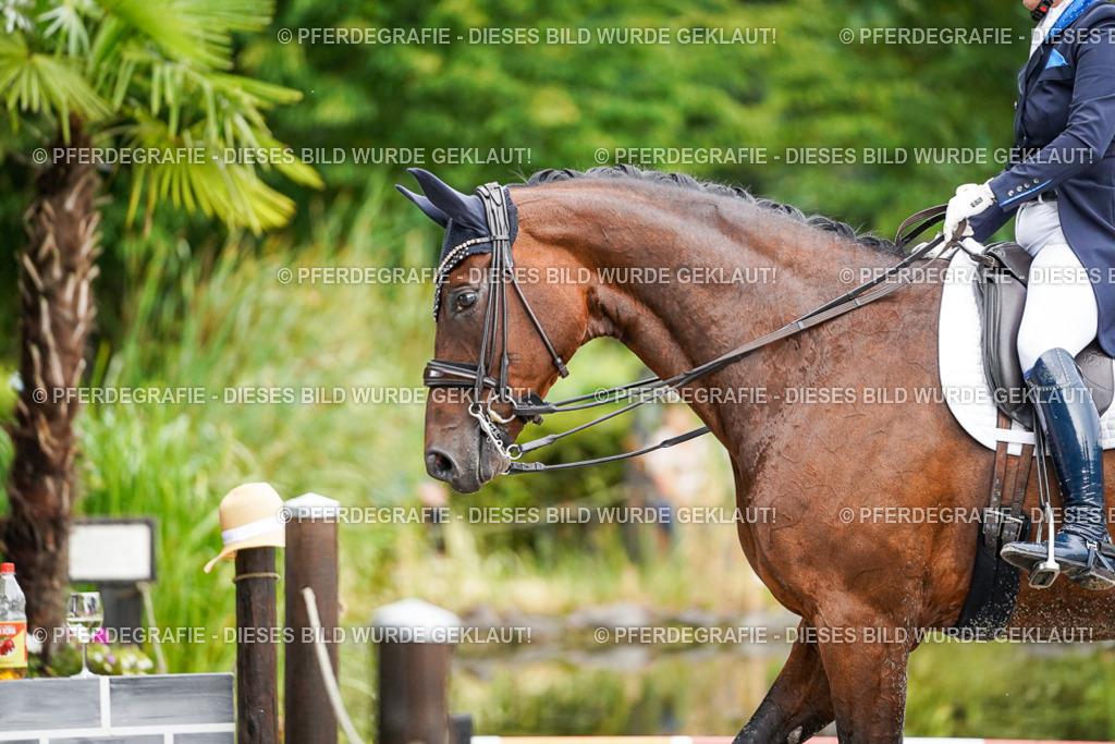 DSC00170 | Pferdegrafie