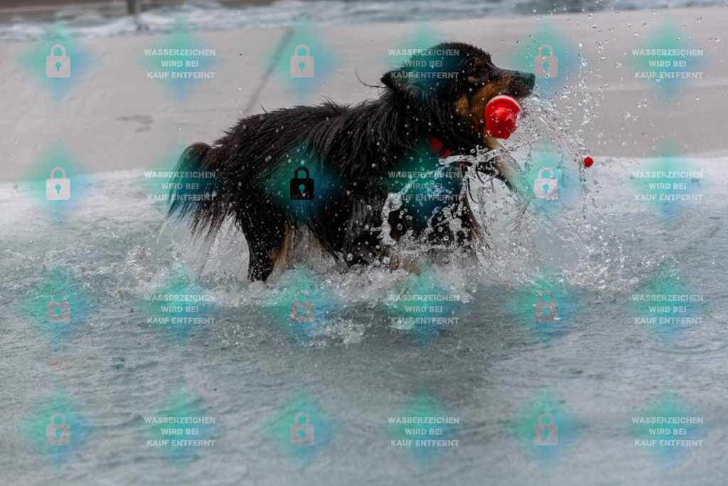 _HP_6232_1000o | HetPix, HetPix Fotodesign, Fotografie, Fotodesign, Webshop, Sportfotografie, Portraitfotografie, Onlineshop, Sportfotografie, Polch, Motorsportfotografie, Eventfotografie