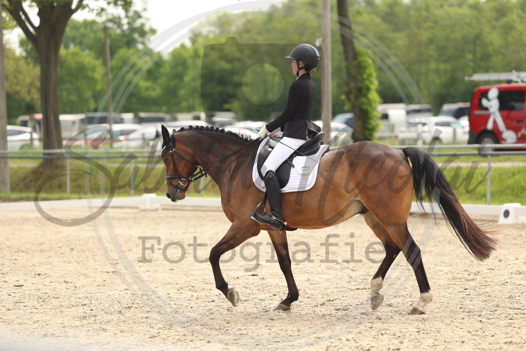 994A6931 | sabrinanicolaifotografie - Realisiert mit Pictrs.com