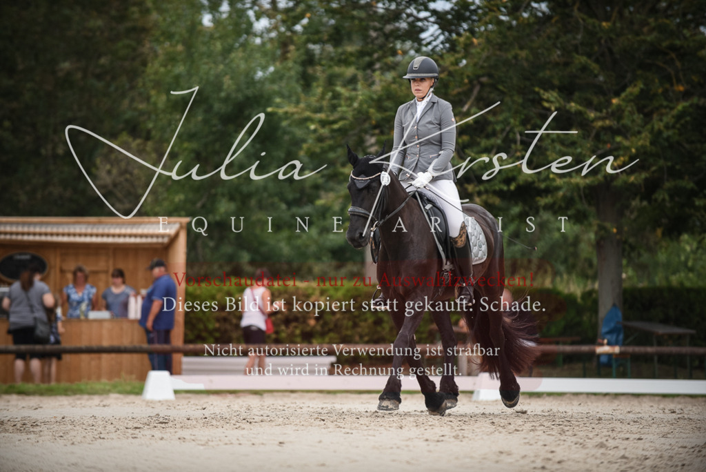 DSC_8304 | Pferde- und Turnierfotografie in Westsachsen. Pferdeportraits, Auftragszeichnungen und intuitive Kunst.