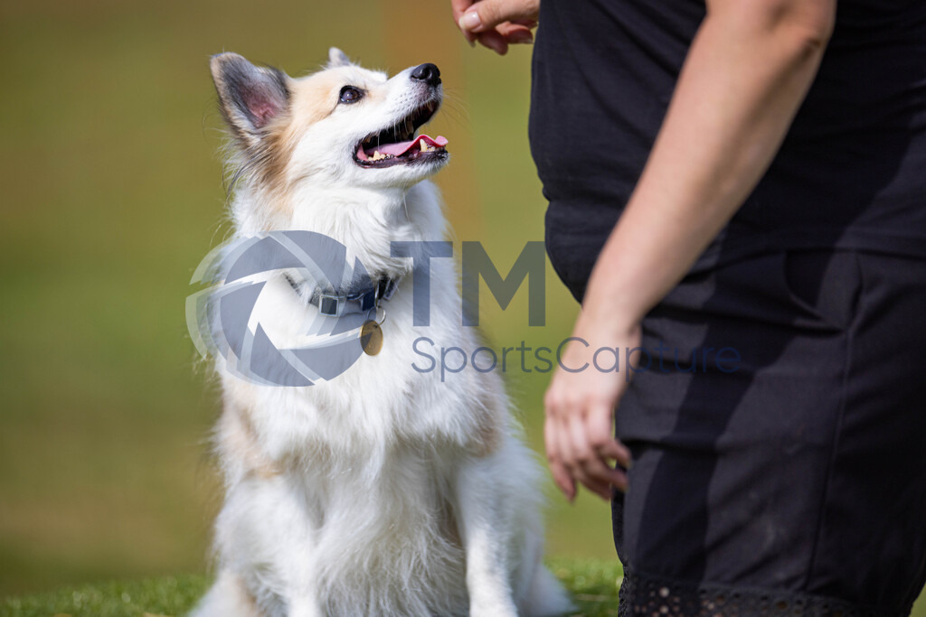 TP-20240815-0144 | Copyright: Trainproduction / Matthias Trinkl