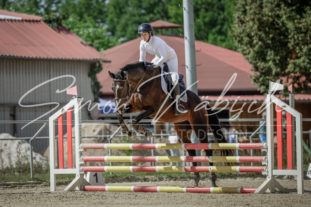 20250906-_3LI5968 | Tierfotografie Pferde, Hunde, Katzen, Haustiere.
Turnierfotografie Reitturniere, Reiten, Springreiten, Dressur in Hanau, dem Main-Kinzig-Kreis und dem Rhein-Main- Gebiet um Frankfurt