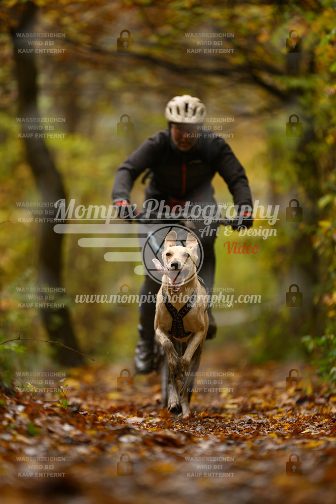 MompixPhotography_CD7S_DI_Bike-4 | mompixphotography