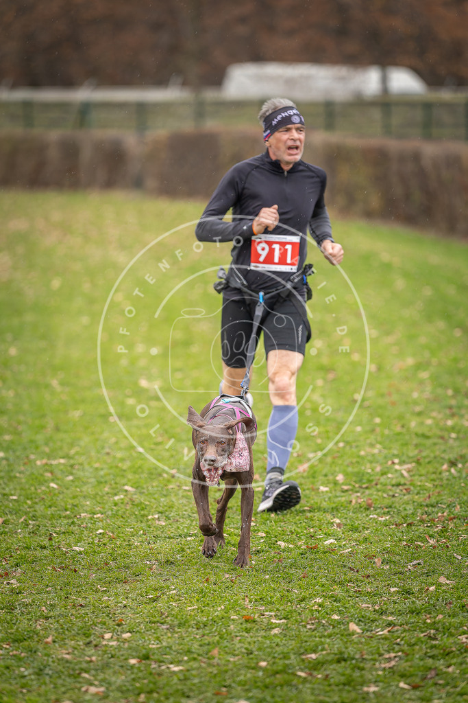 CaniXpix_DV3A7062 | Hundefotografie, Tierfotograf, Pfotenfotografie, Fotoshooting Hund, Hunde Portrait, Hundesport, Hundeportraits, Heideshooting, Hunde, Sportfotograf, Hundefotograf, Turnierhundsport, THS,  - Realisiert mit Pictrs.com