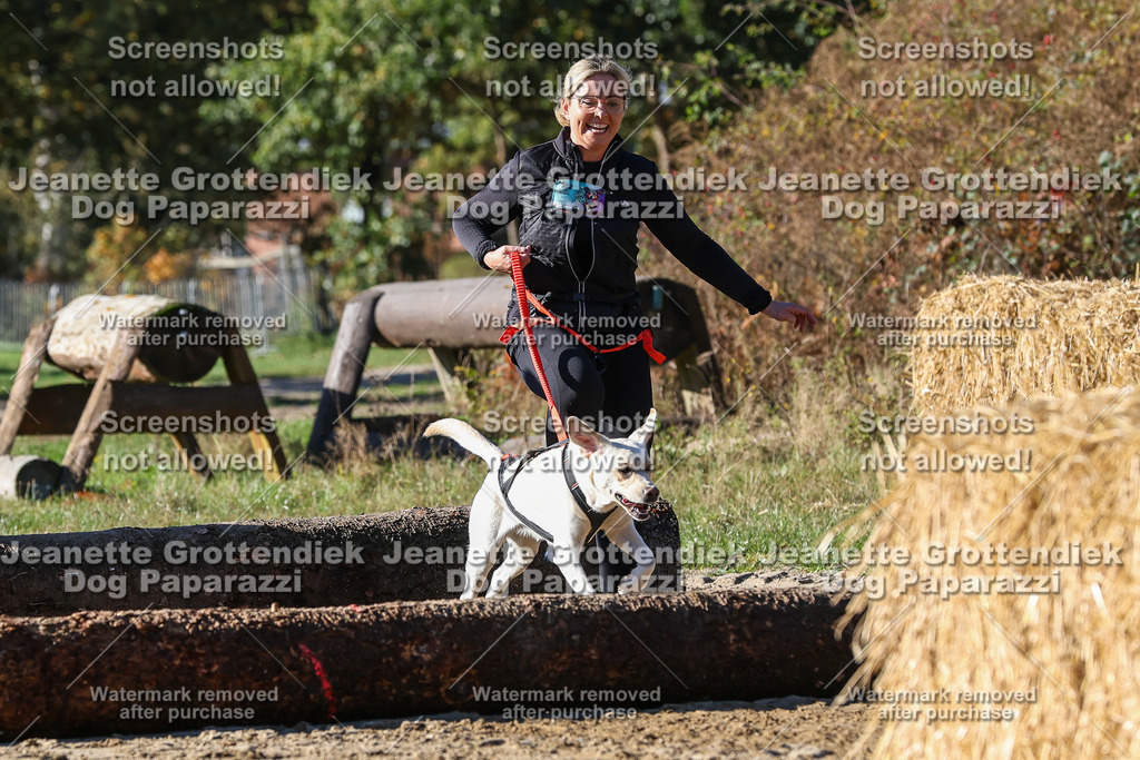 Dog Paparazzi - Strongdog 10-25-2319 | Dog Paparazzi Jeanette Grottendiek Fotografie & Videografie - Realisiert mit Pictrs.com