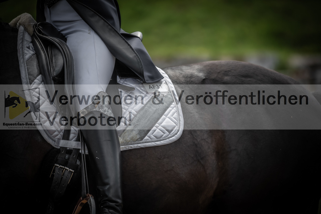 DSC_2851 | equestrian-live-com