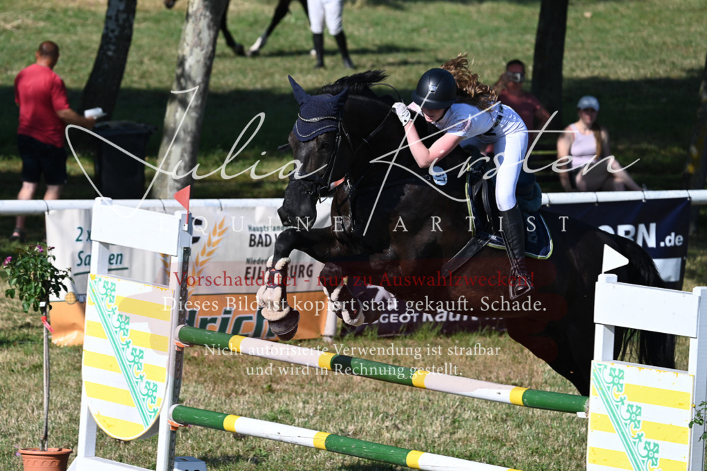 DSC_2508 | Pferde- und Turnierfotografie in Westsachsen. Pferdeportraits, Auftragszeichnungen und intuitive Kunst.