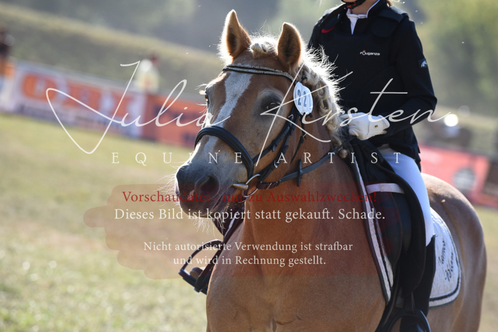 DSC_5792 | Pferde- und Turnierfotografie in Westsachsen. Pferdeportraits, Auftragszeichnungen und intuitive Kunst.