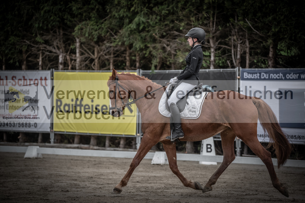 DSC_9048 | equestrian-live-com