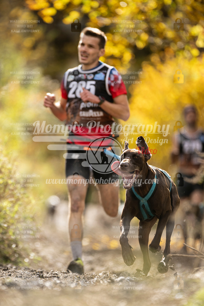 MompixPhotography_ICF_WC_2024_SA_Run_-101 | PayLife