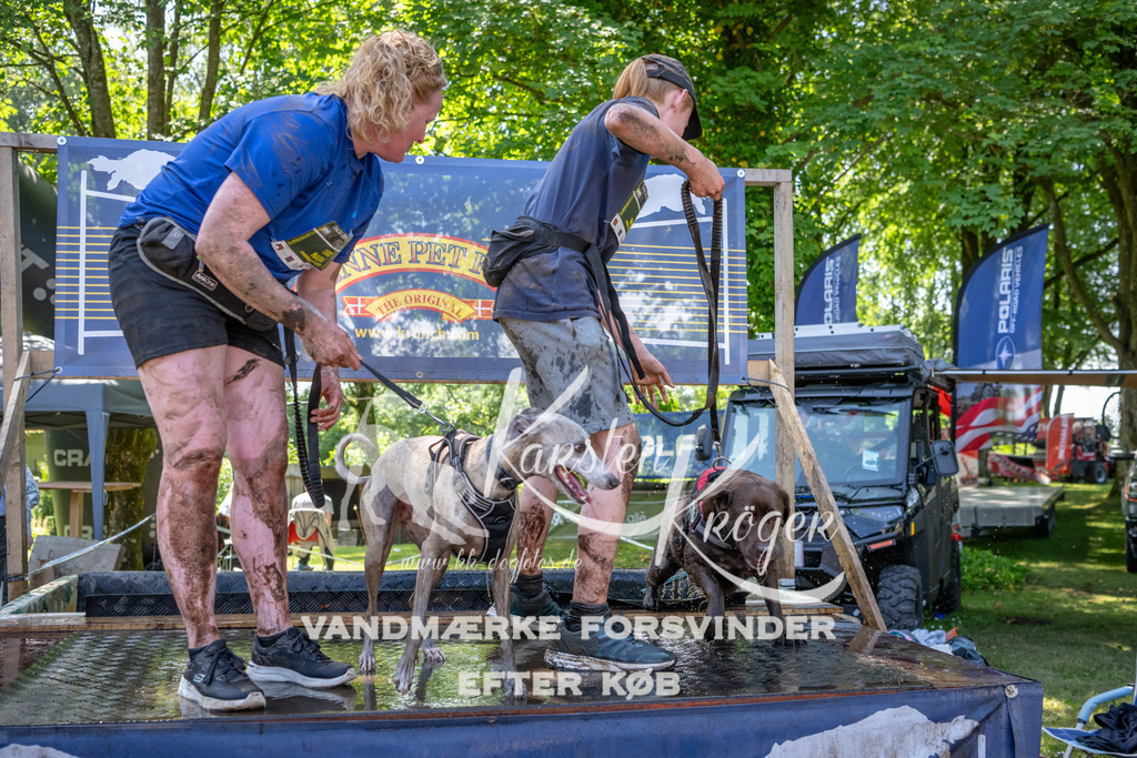 1422_ZZ94006 | kk-dogfotos