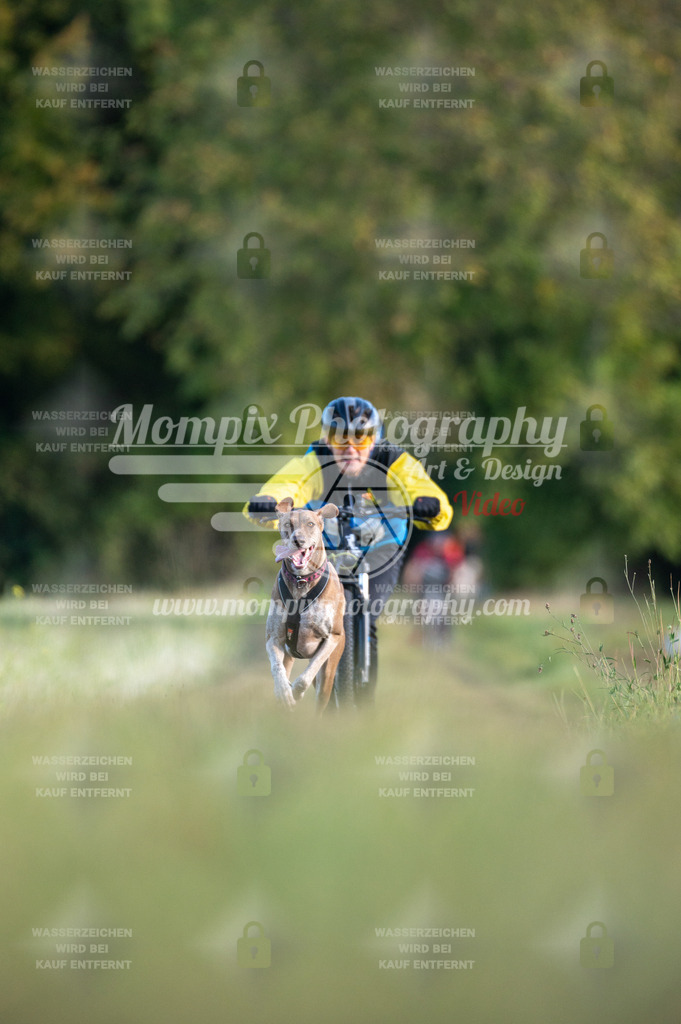 CDLBDB_15_10_2023_Dimanche-270 | PayLife