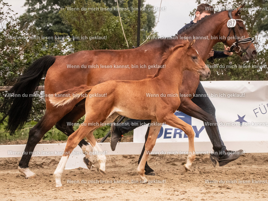 A10I5849 | photographylinaismer - Realisiert mit Pictrs.com