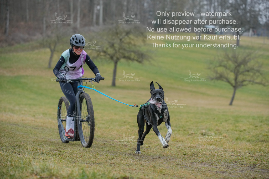 Sa_Scooter1-59 | stephaniefillaphotographie - Realisiert mit Pictrs.com