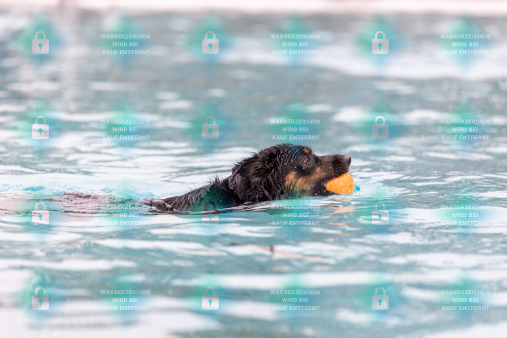 _HP_7126_1000o | HetPix, HetPix Fotodesign, Fotografie, Fotodesign, Webshop, Sportfotografie, Portraitfotografie, Onlineshop, Sportfotografie, Polch, Motorsportfotografie, Eventfotografie