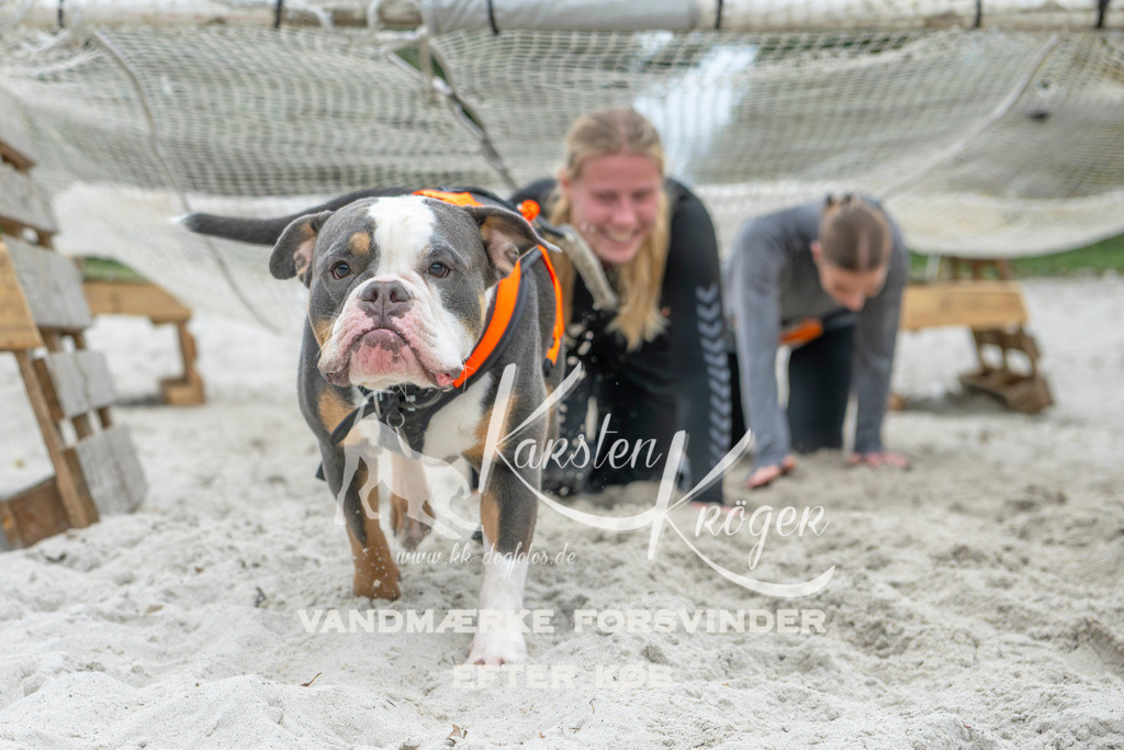 1101_ZZ95189 | kk-dogfotos