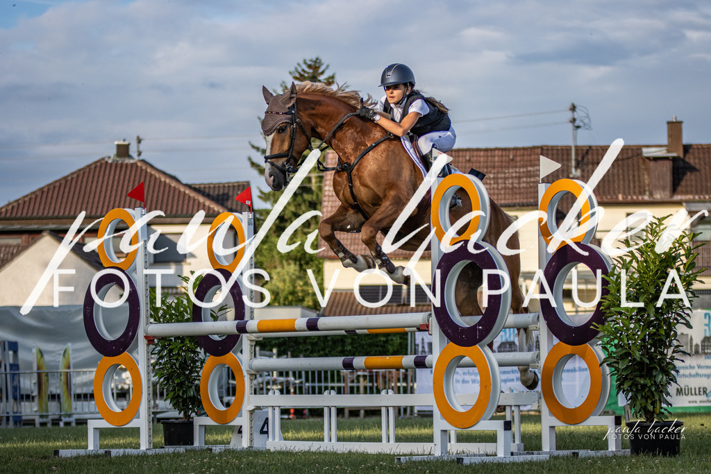 IMG_7804 | Erleben Sie dynamische Sport- und emotionale Tierfotografie in Süddeutschland mit Fotos von Paula. Spezialisiert auf Pferde- und Hundefotografie sowie Sportevents. Kontaktieren Sie mich für einzigartige und ausdrucksstarke Bilder Ihrer besonderen Momente. - Realisiert mit Pictrs.com
