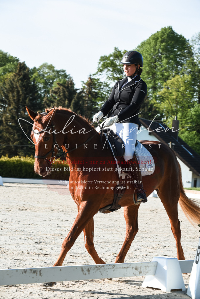 20230518_JK-Röhrsdorf-09-0128 | Pferde- und Turnierfotografie in Westsachsen. Pferdeportraits, Auftragszeichnungen und intuitive Kunst.