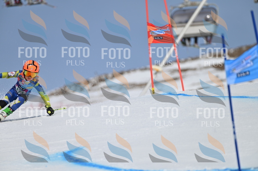 BGV_3371 | holidayphoto