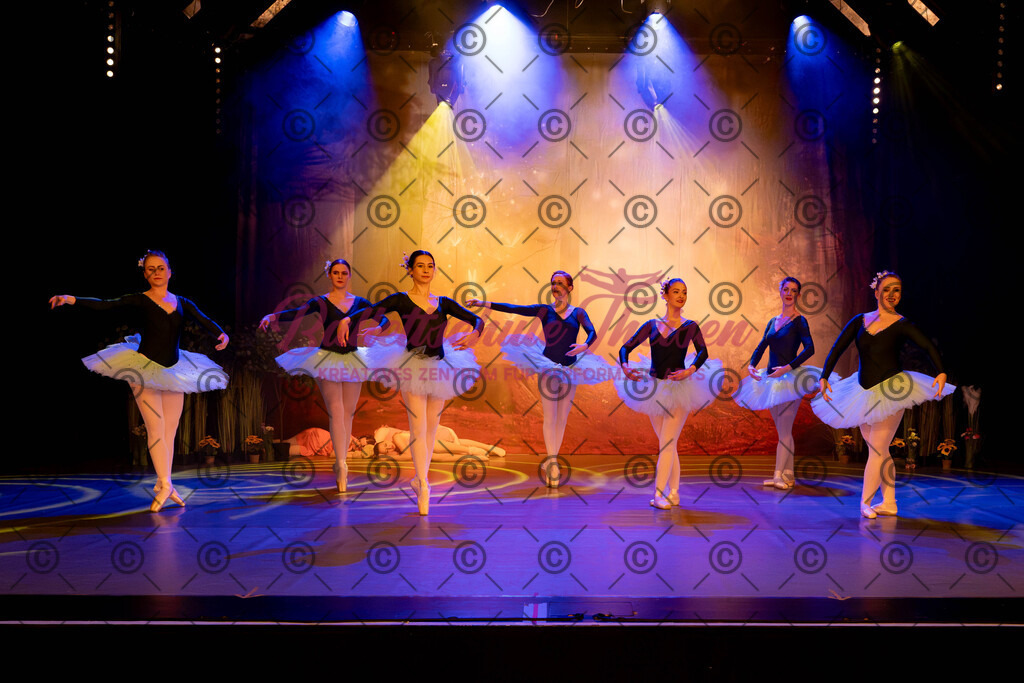 Ballettaufführung-586 | Bildershop Lem'n Entertainment - Realisiert mit Pictrs.com