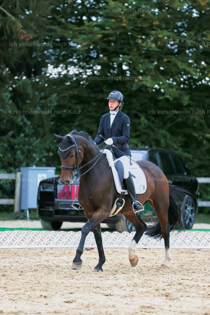 04_2-099-Dressur M__ -StoibPH-3001 | working equitationturnier fotograf videograf stoibphotography marixx film working equitation deutschland reitsport turnierfotografie eventfotografie equestrian events