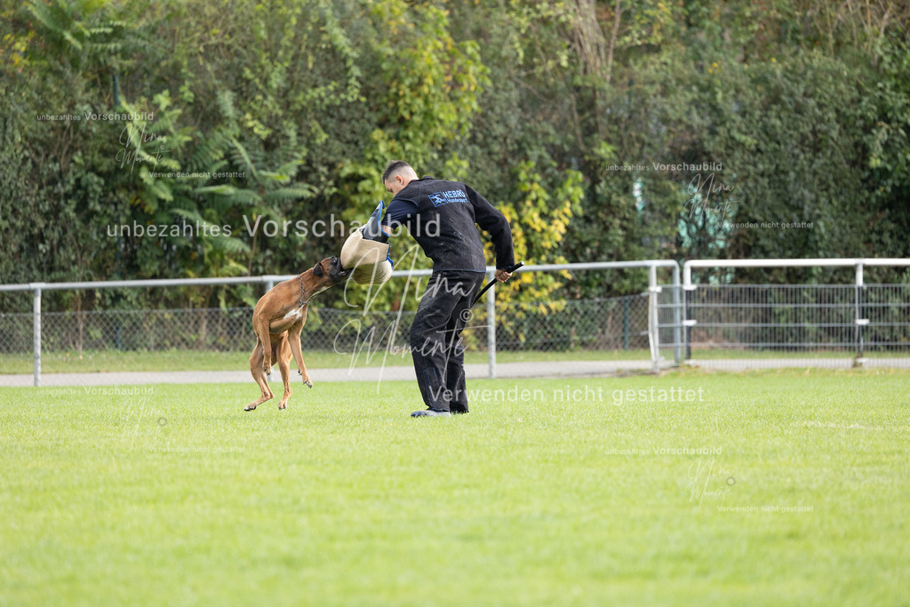 _16A7045 | Einzigartige Fotos von Hunden & Menschen –Actionfotos, Portraits, Vereinsaufnahmen & Paarshootings – authentisch, lebendig & mit Herz.