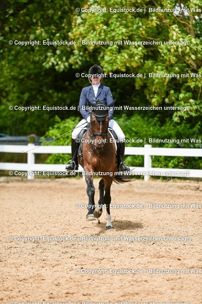 20230716_01_Dressurprüfung Kl.M_0176 | equistock