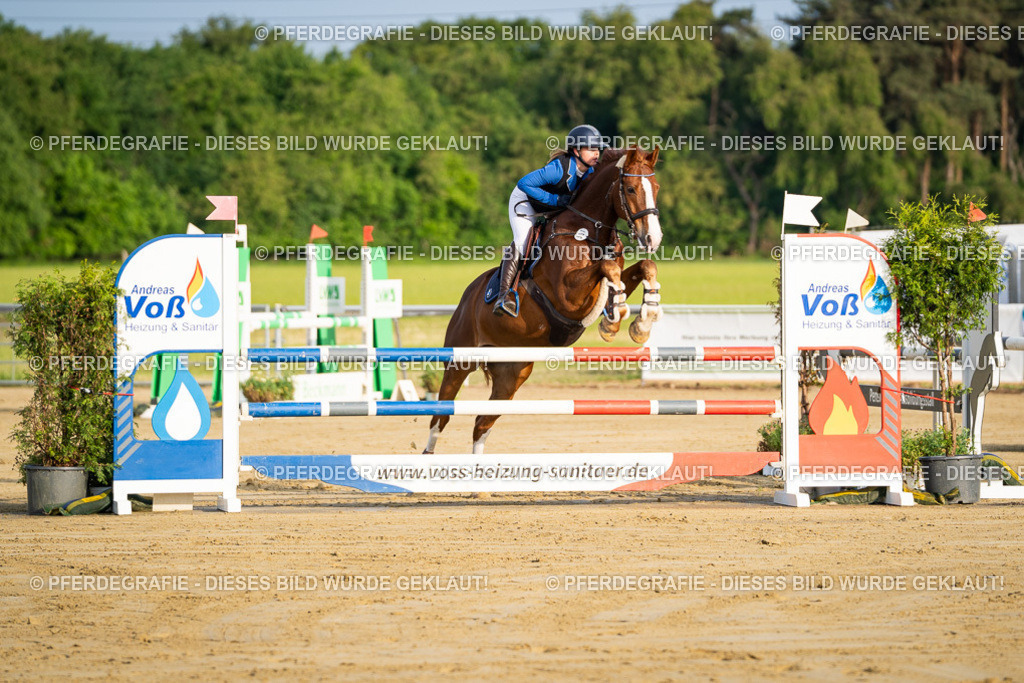 DSC01950 | Pferdegrafie