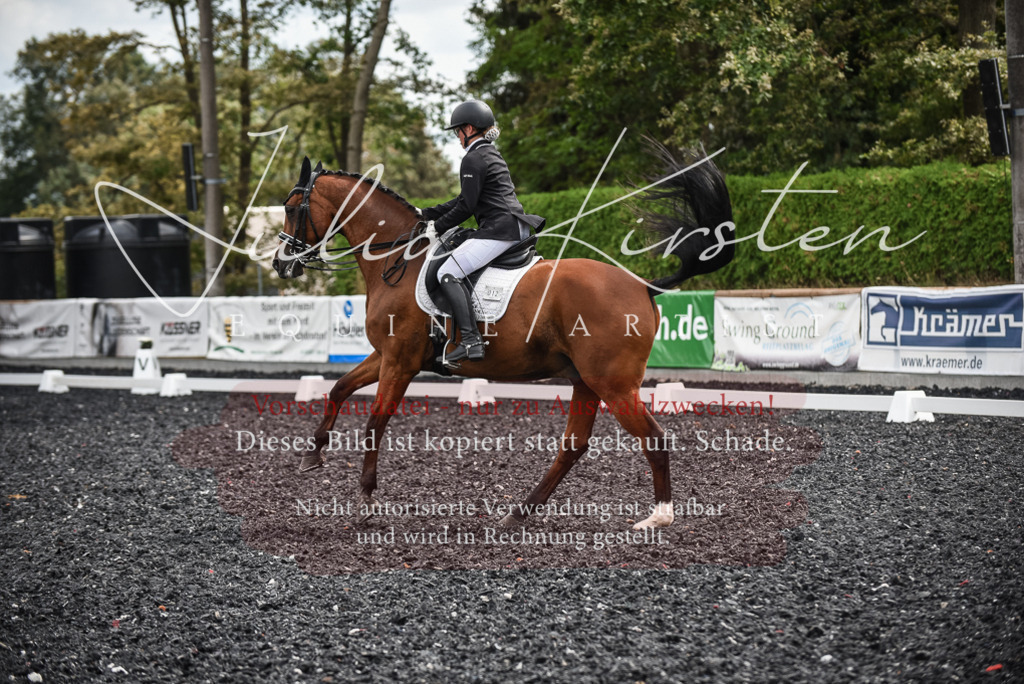 DSC_5009 | Pferde- und Turnierfotografie in Westsachsen. Pferdeportraits, Auftragszeichnungen und intuitive Kunst.