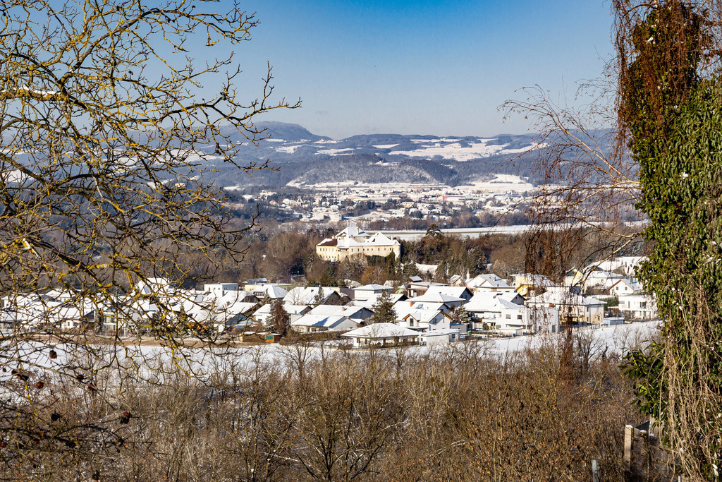 _ 3382_WINTER26_8237 | WInteraufnahmen Loosdorf 2026