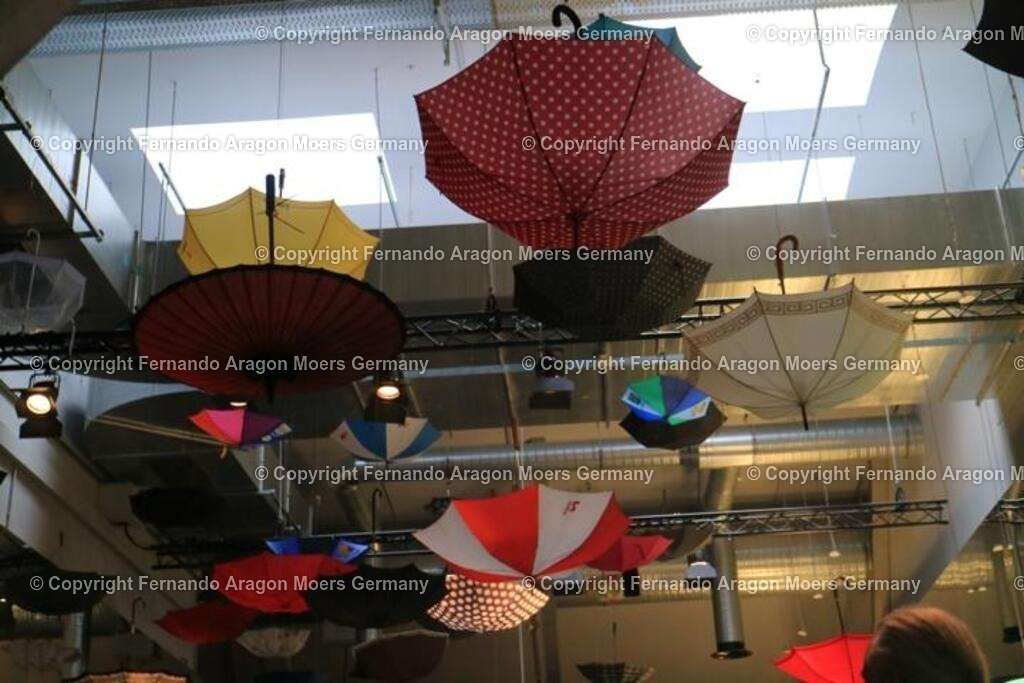 IMG_5072 | aragon-pics - Realisiert mit Pictrs.com