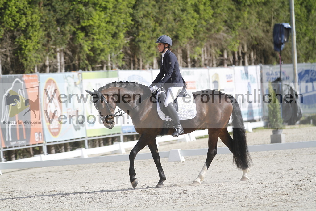 _MG_8502 | equestrian-live-com
