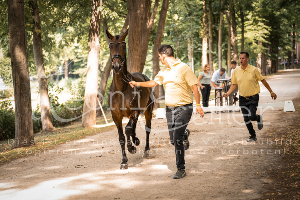 FrPfM00155 | Leoni Ertmer Photography - Realisiert mit Pictrs.com