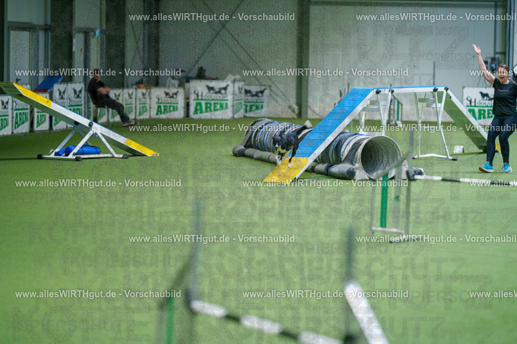 @allesWIRTHgut_Tierfotografie - www.allesWIRTHgut.de - 2604250830-7R506888 | Professionelle Tierfotografie in Mönchengladbach von Daniel Wirth (allesWIRTHgut). Liebevolle & natürliche Bilder von Hunden & Katzen für unvergessliche Erinnerungen.