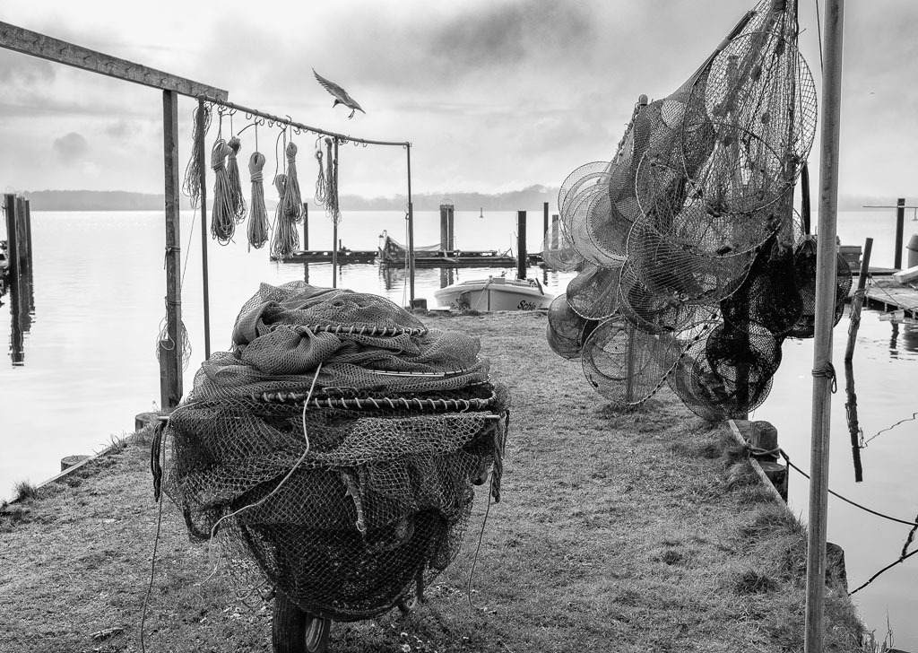 fischer-2020-016 | Die Landungsbrücken am Holmer Strand sind grasbewachsene Anleger der Schleswiger Fischer. Hier machen sie seit Jahrhunderten ihre Boote fest und lagern ihr Material. Durch schwimmende Pontons sind einige der Landungsbrücken im Laufe der Zeit erweitert worden. - Realisiert mit Pictrs.com