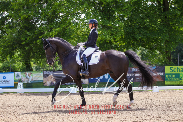 DKP41130 | Turnierfotos kaufen im Webshop von Daniel Kuhl Photography – entdecke professionelle Reitsportfotos aus Turnieren & Events. Hochwertige Turnierbilder online bestellen & sichern. Jetzt Fotos von Reitsportturnieren kaufen!
