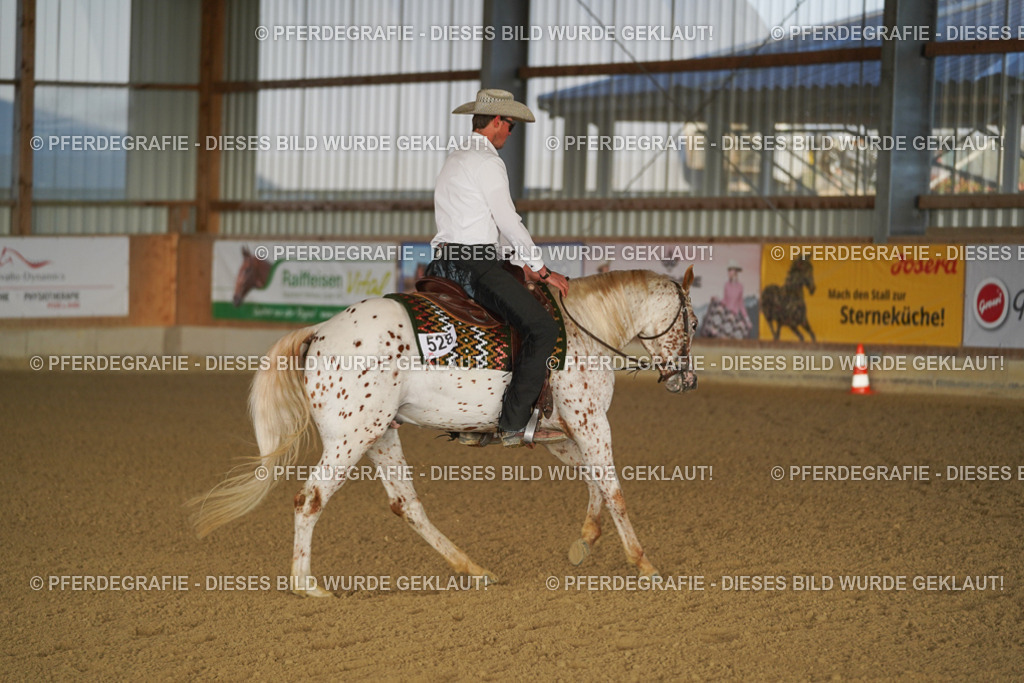 DSC08003 | Pferdegrafie