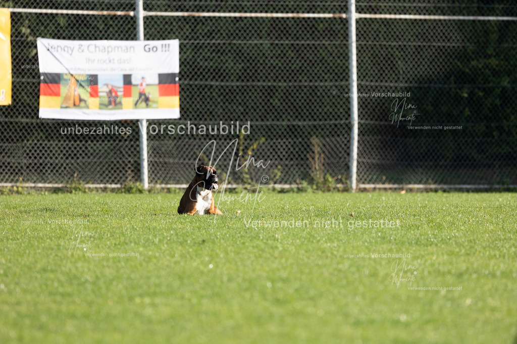 _16A6270 | Einzigartige Fotos von Hunden & Menschen –Actionfotos, Portraits, Vereinsaufnahmen & Paarshootings – authentisch, lebendig & mit Herz.