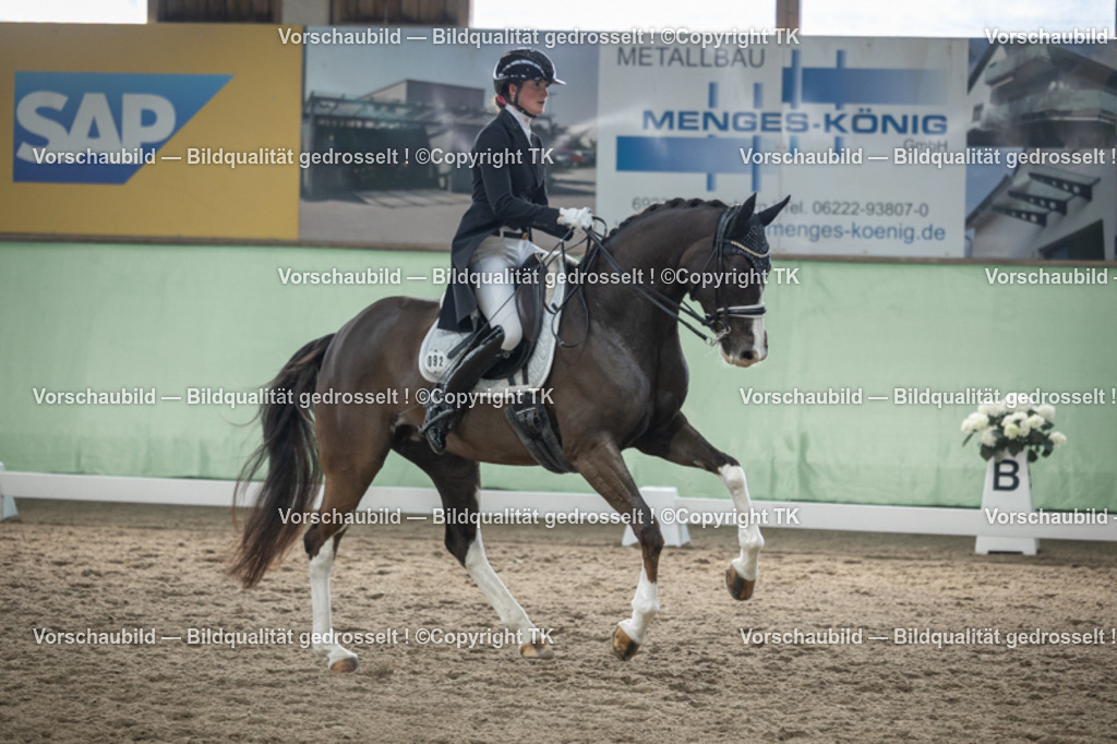 _D5A5026 | Emotionale Pferde- & People-Fotografie rund um Heidelberg, Leimen & Umgebung. Natürliche Fotos von Pferd, Mensch & Familie. Jetzt Termin sichern!