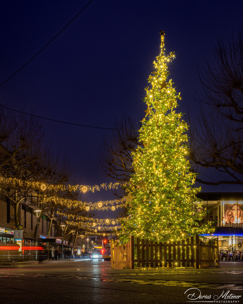 Weihnachten in Mainz am Rhein | Weihnachten in Mainz am Rhein