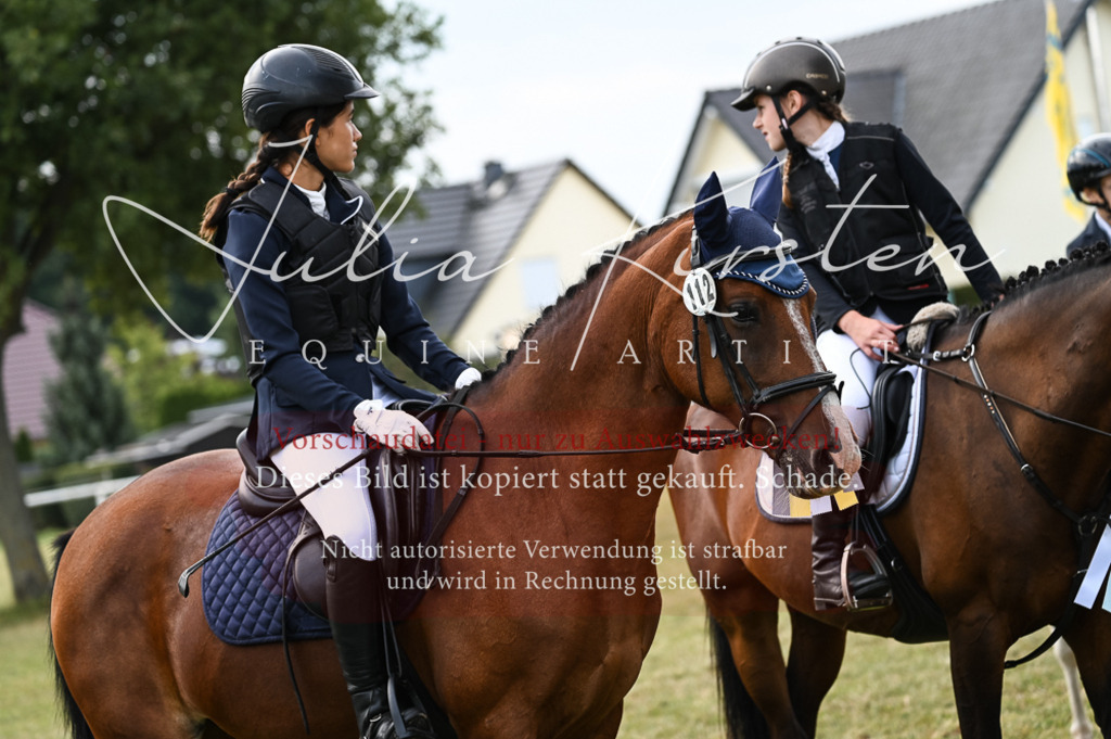 DSC_5779 | Pferde- und Turnierfotografie in Westsachsen. Pferdeportraits, Auftragszeichnungen und intuitive Kunst.
